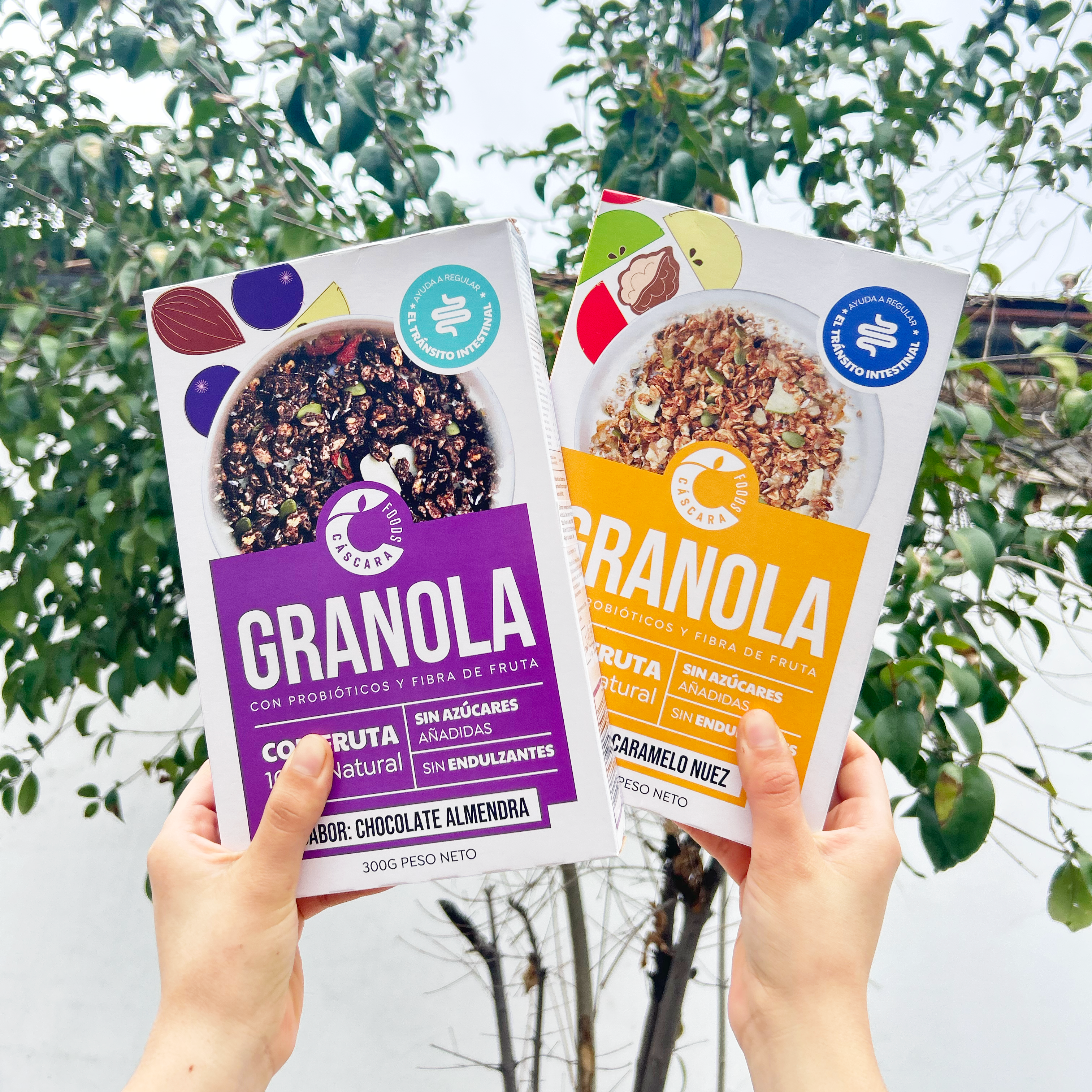 Pack 2 Granola