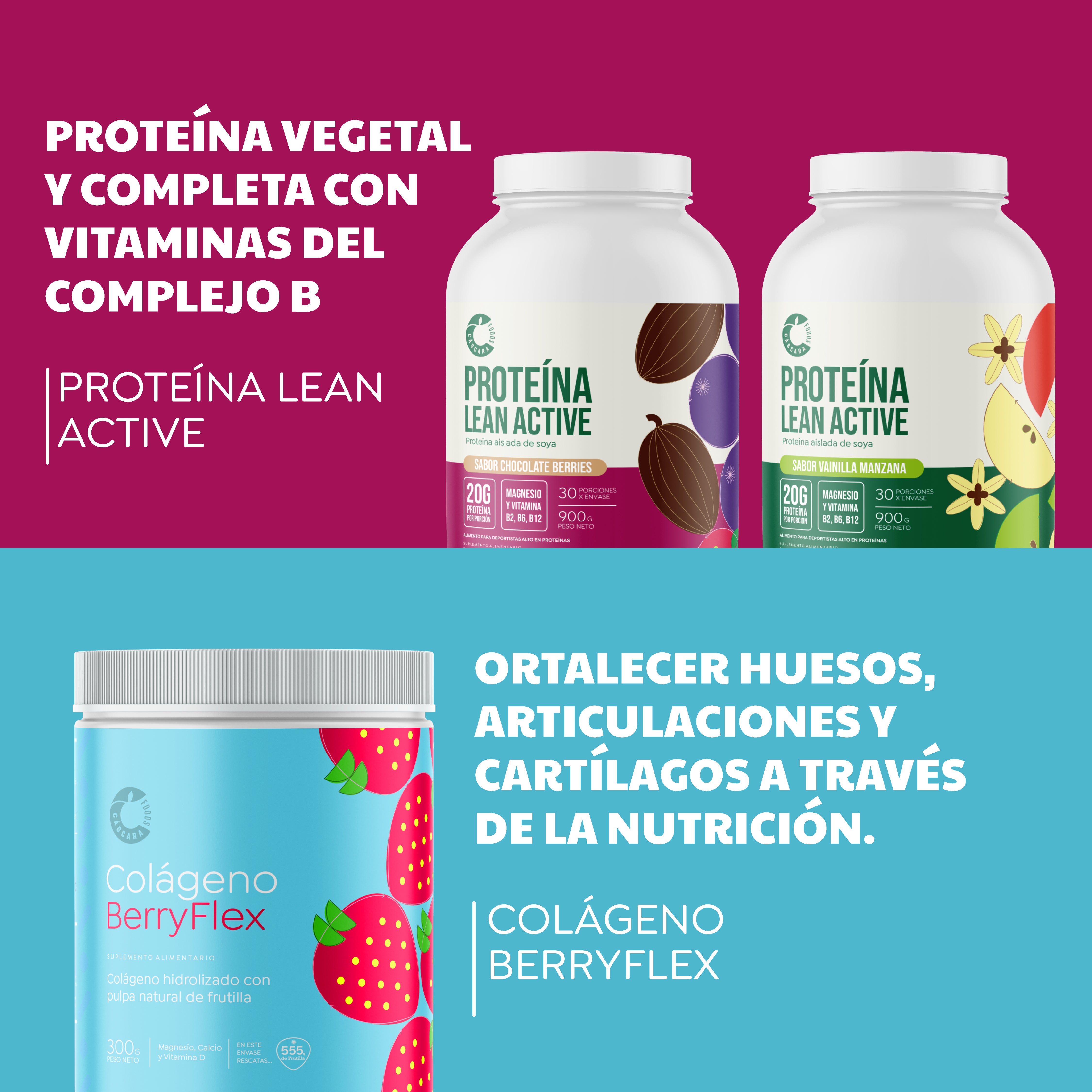 Pack Nutrición & Rendimiento: 2 Proteínas + Colágeno Berryflex + Ecoshaker + Envío Gratis
