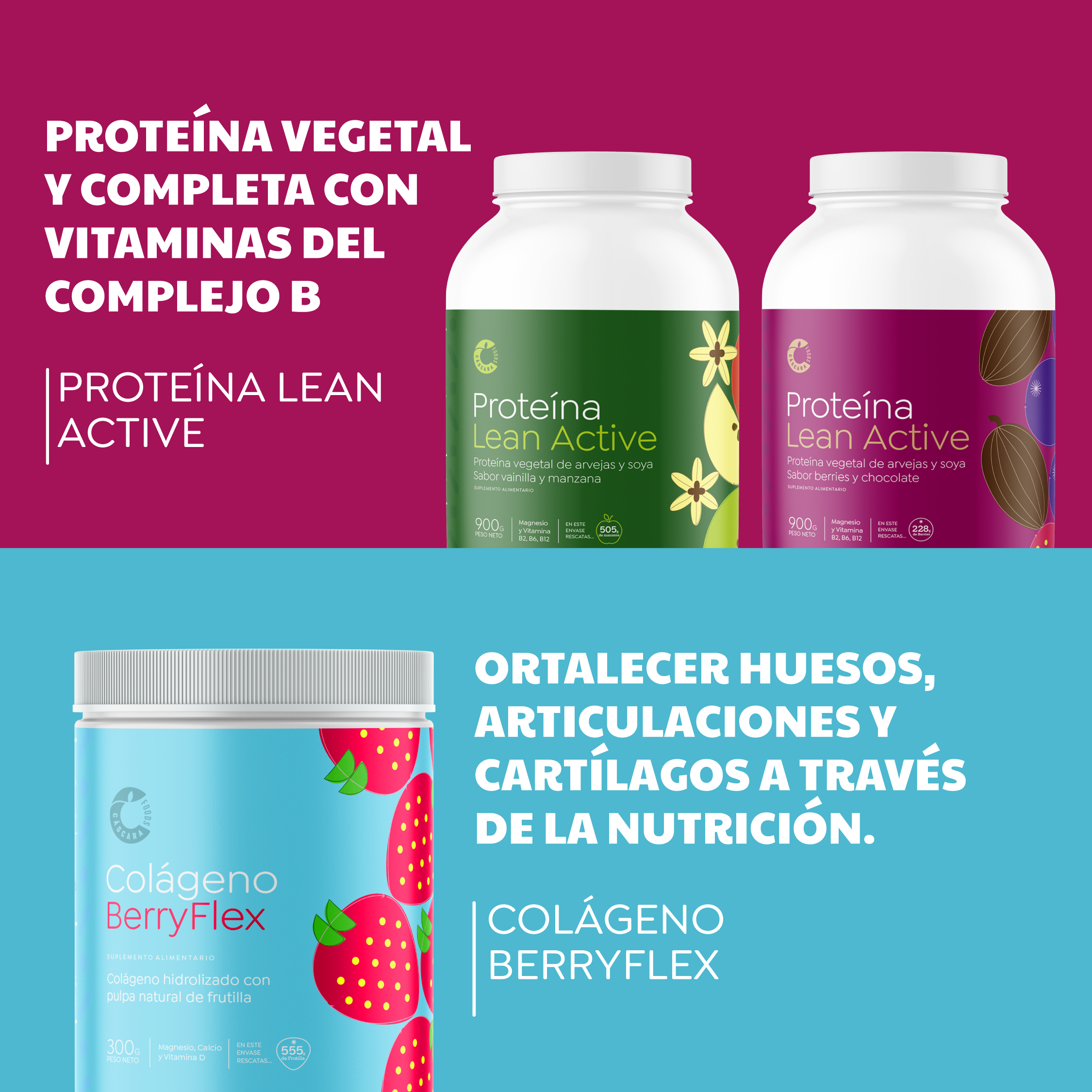Pack Nutrición & Rendimiento: 2 Proteínas + Colágeno Berryflex + Ecoshaker + Envío Gratis