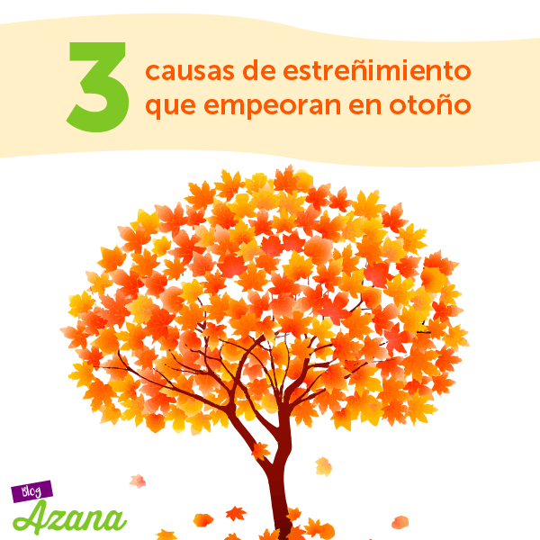 3 Causas de estreñimiento que empeoran en Otoño - cascarafoods