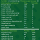 Proteína Vegetal Lean Active 30 días
